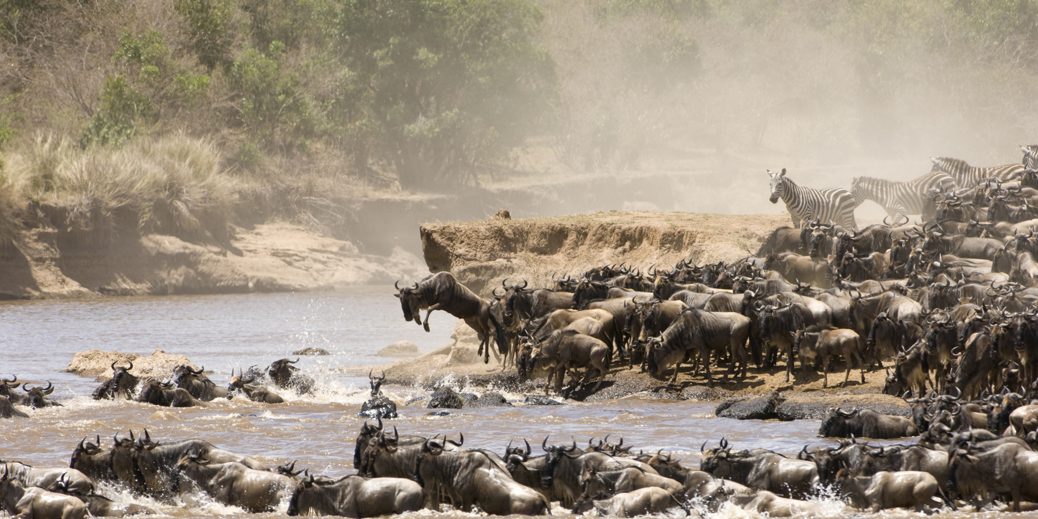 Kenya wilderness