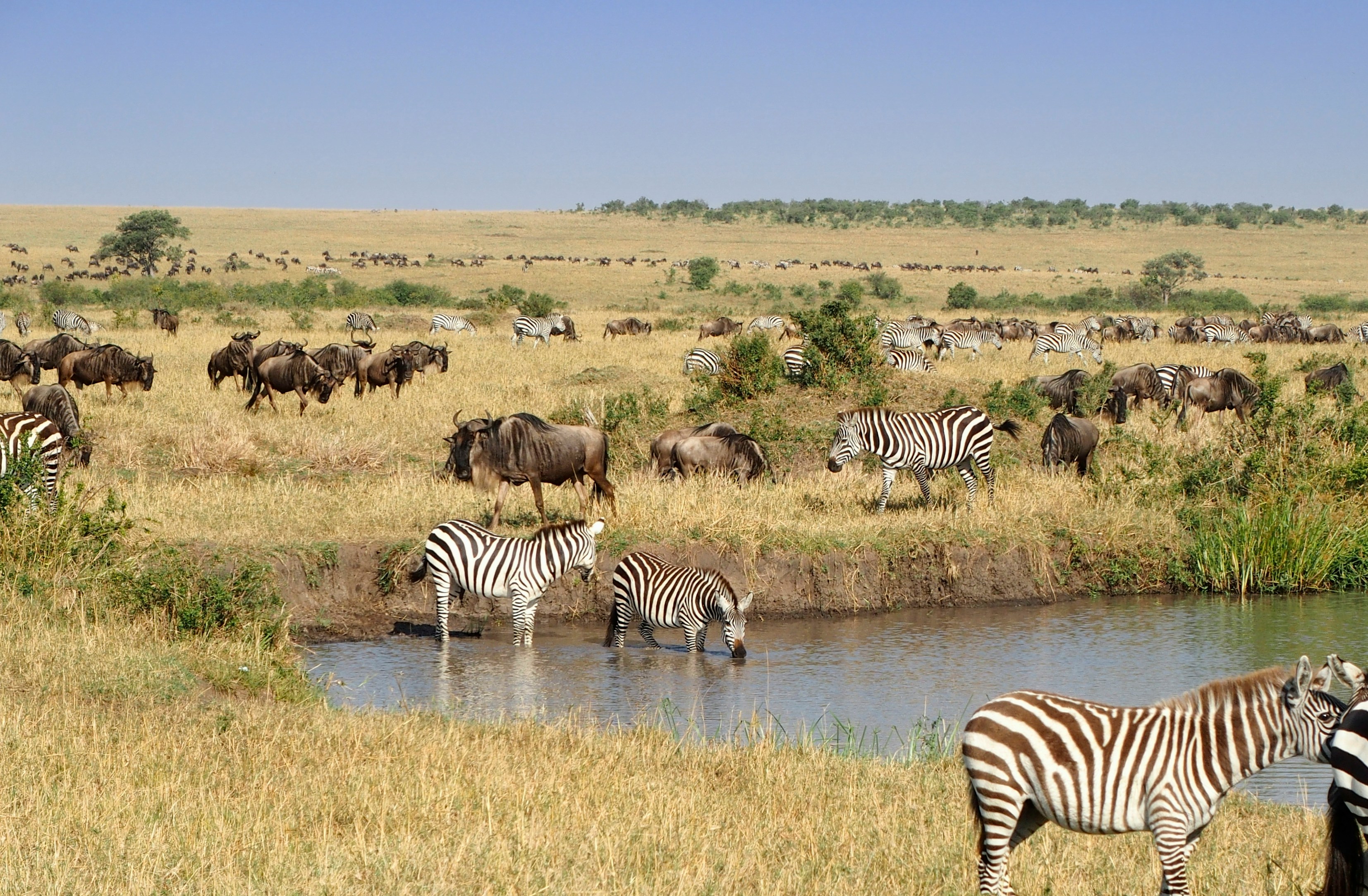 Kenya