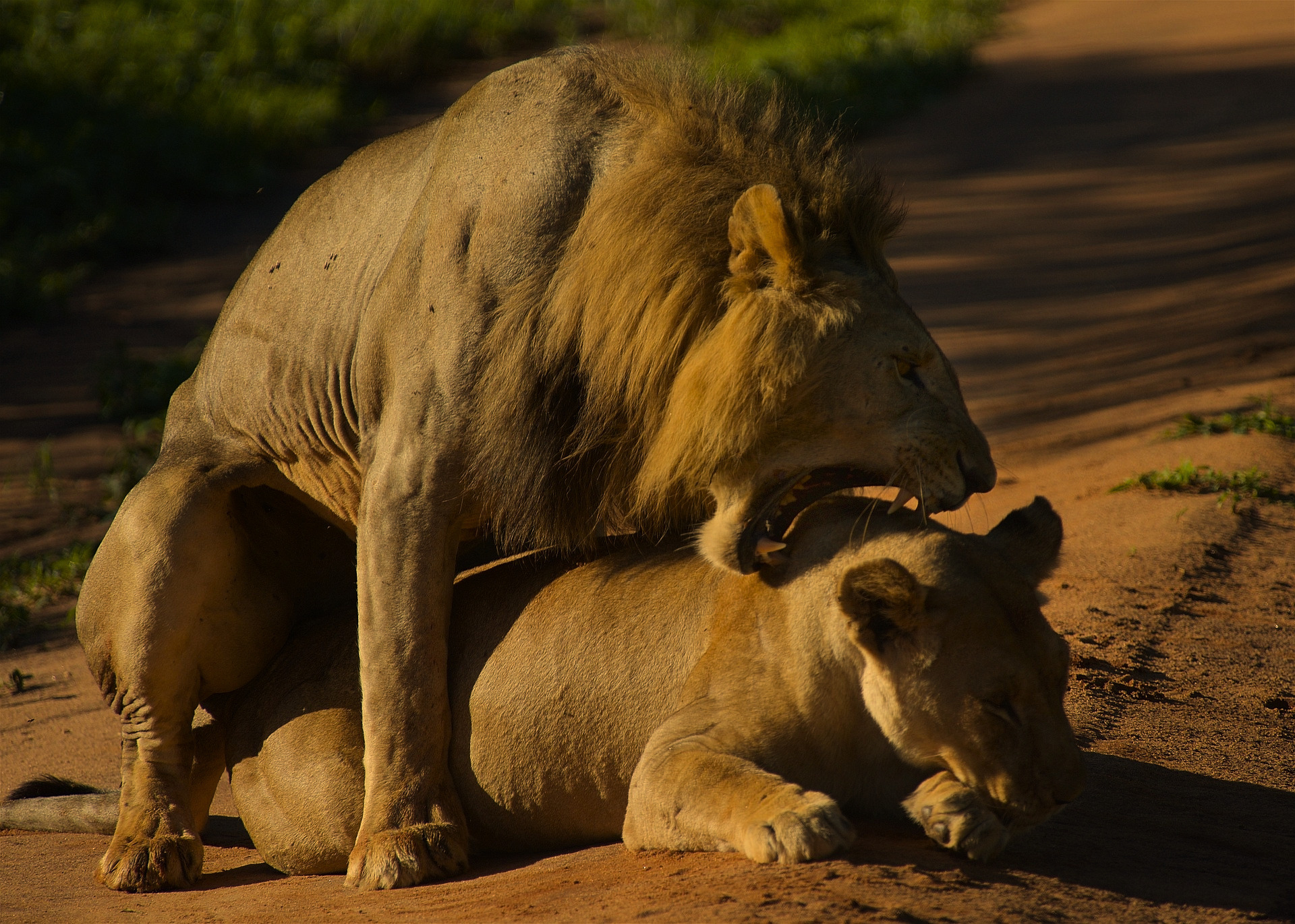 Day 2: Tarangire National Park