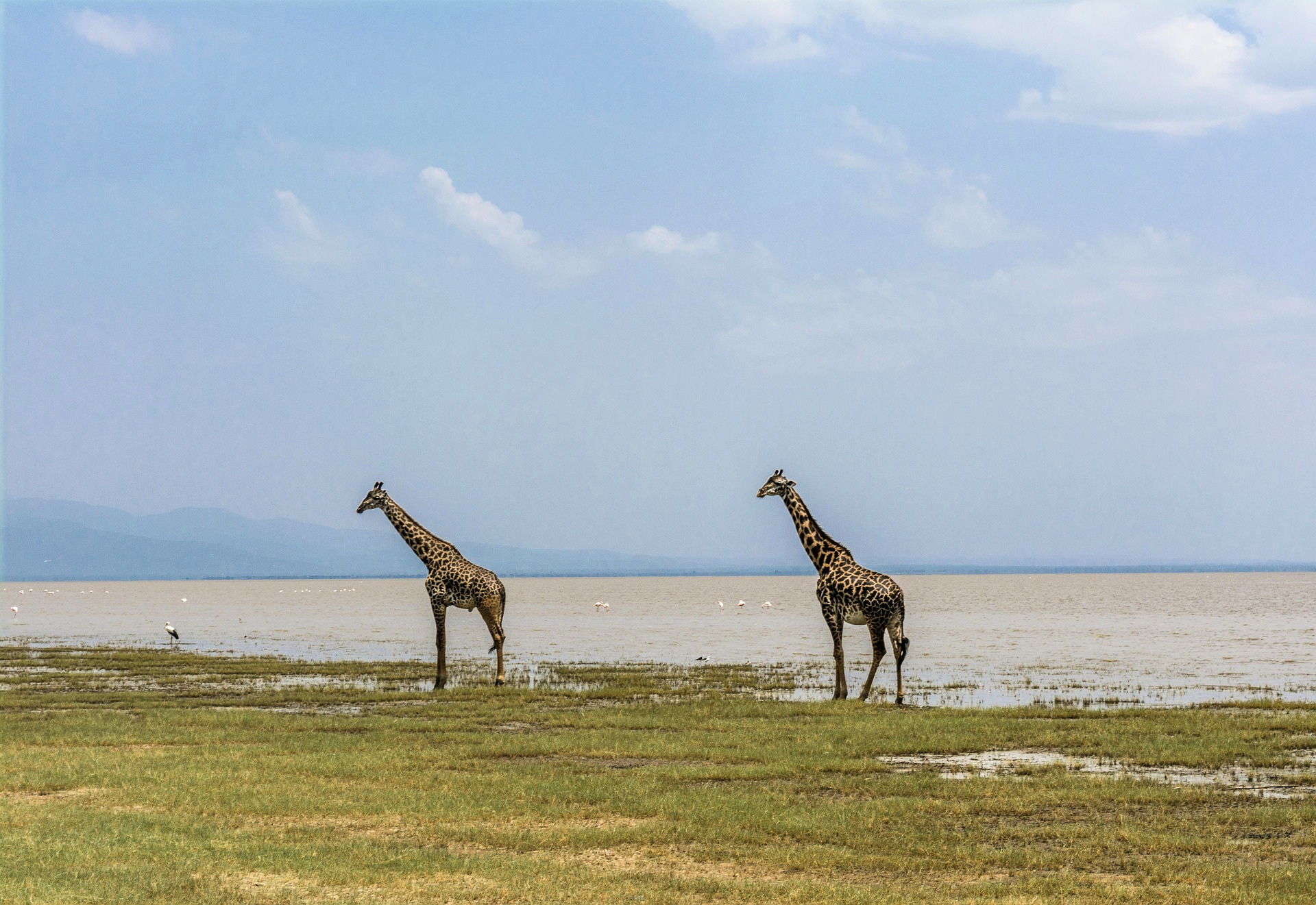 Day 3: Lake Manyara National Park