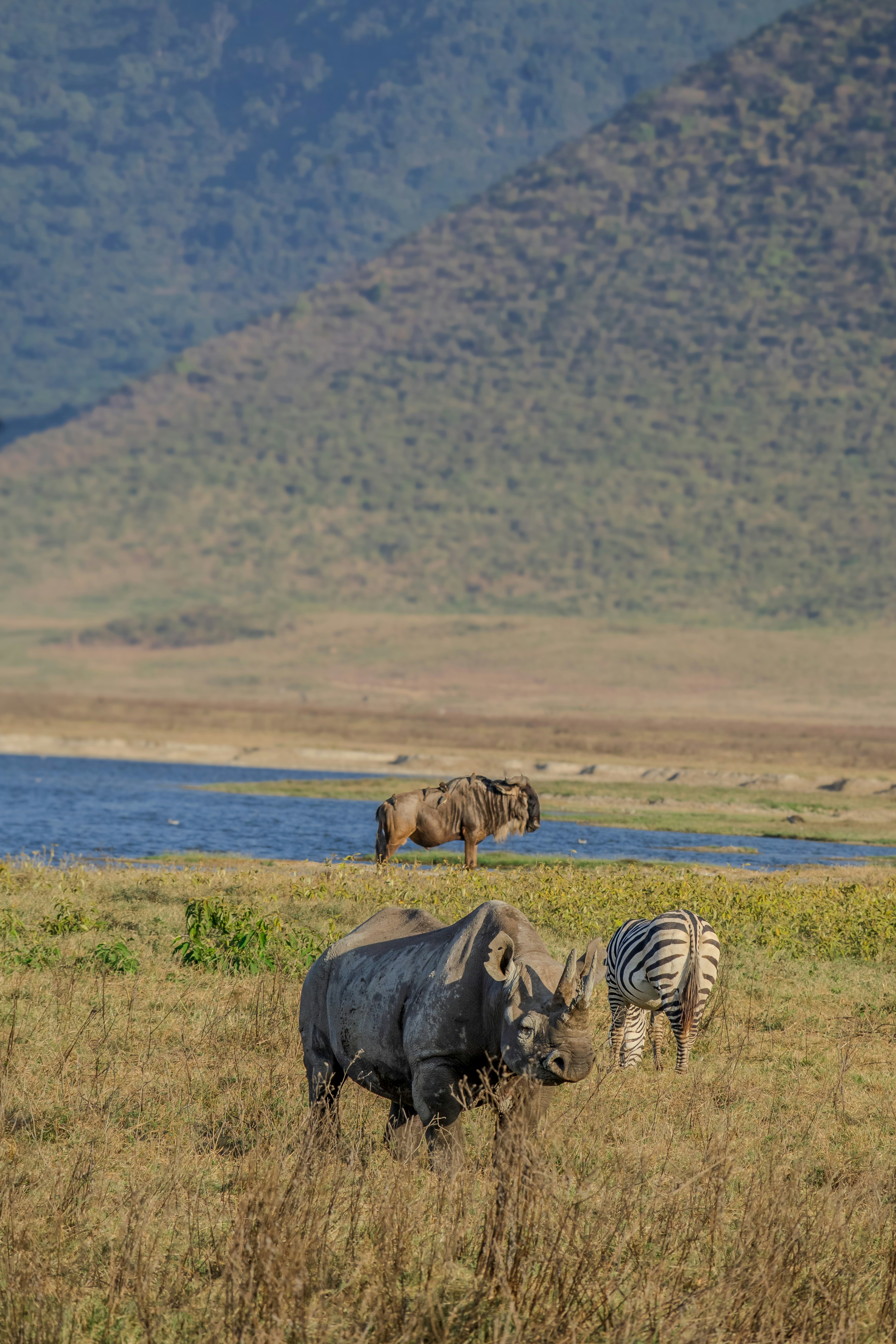 Day 7: Ngorongoro Crater