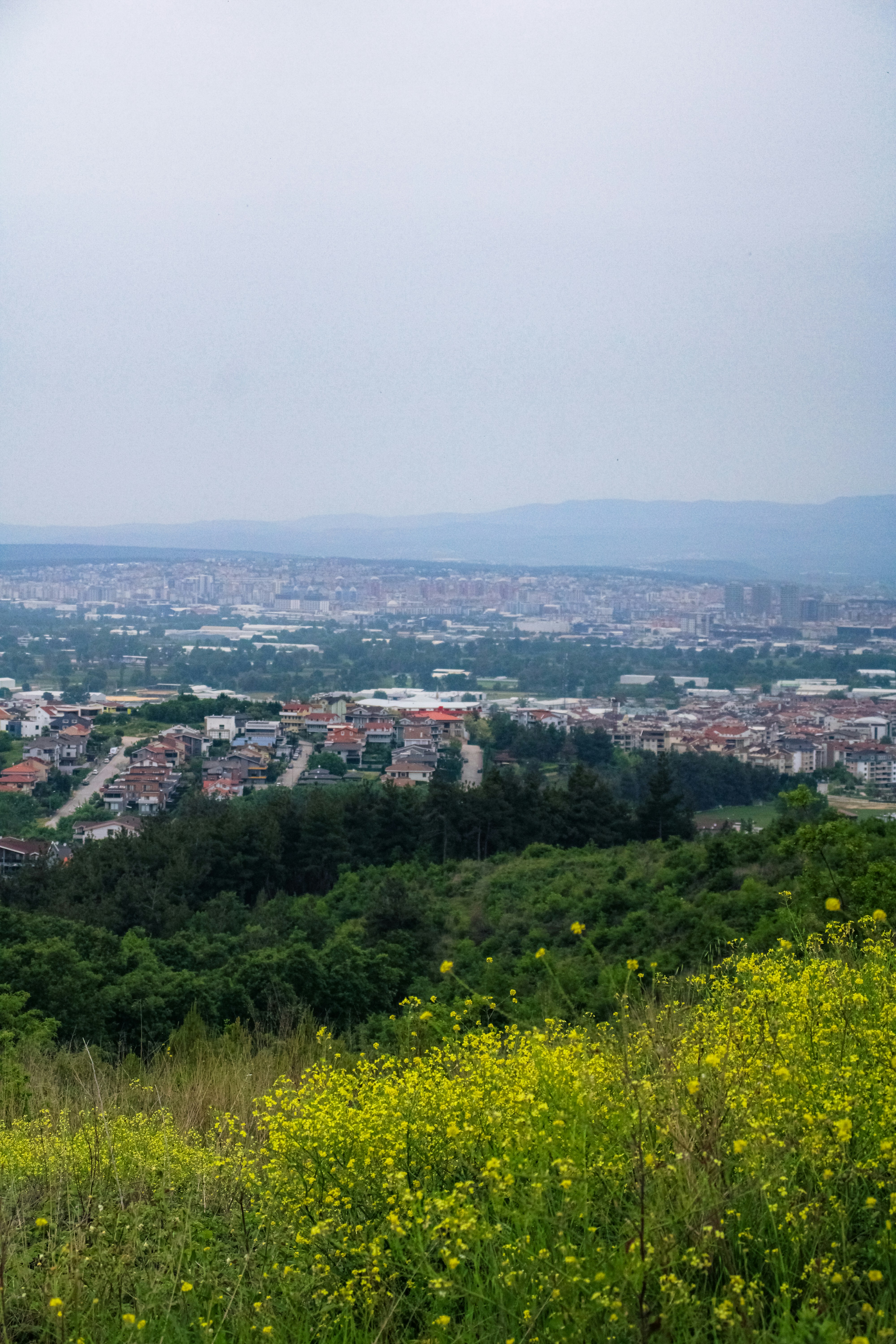 Day 3: Transfer back to Kigali