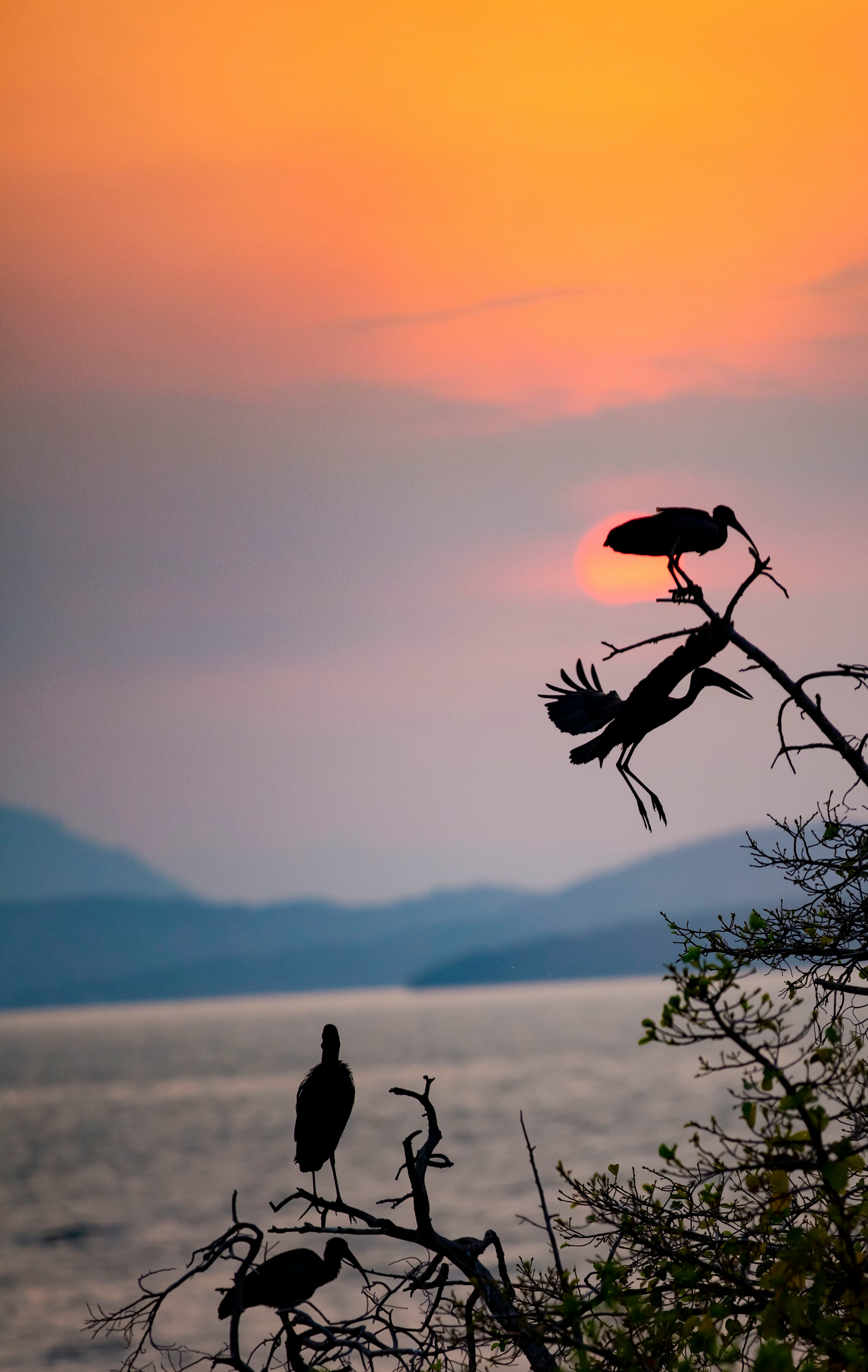 Day 1: Arrival in Entebbe – Welcome to Uganda