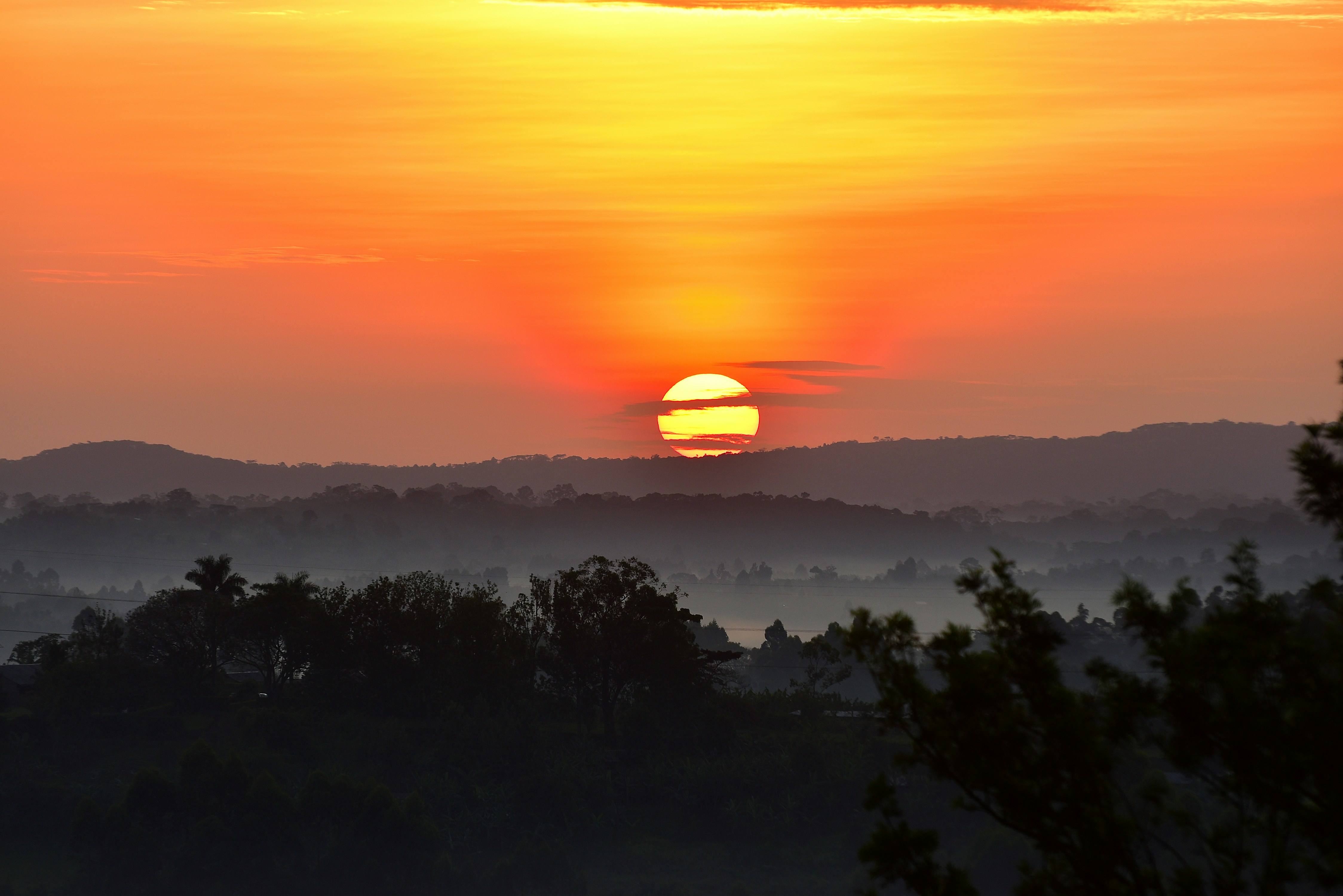 Day 5: Morning game drive and transfer to Kibale Forest National Park in the afternoon