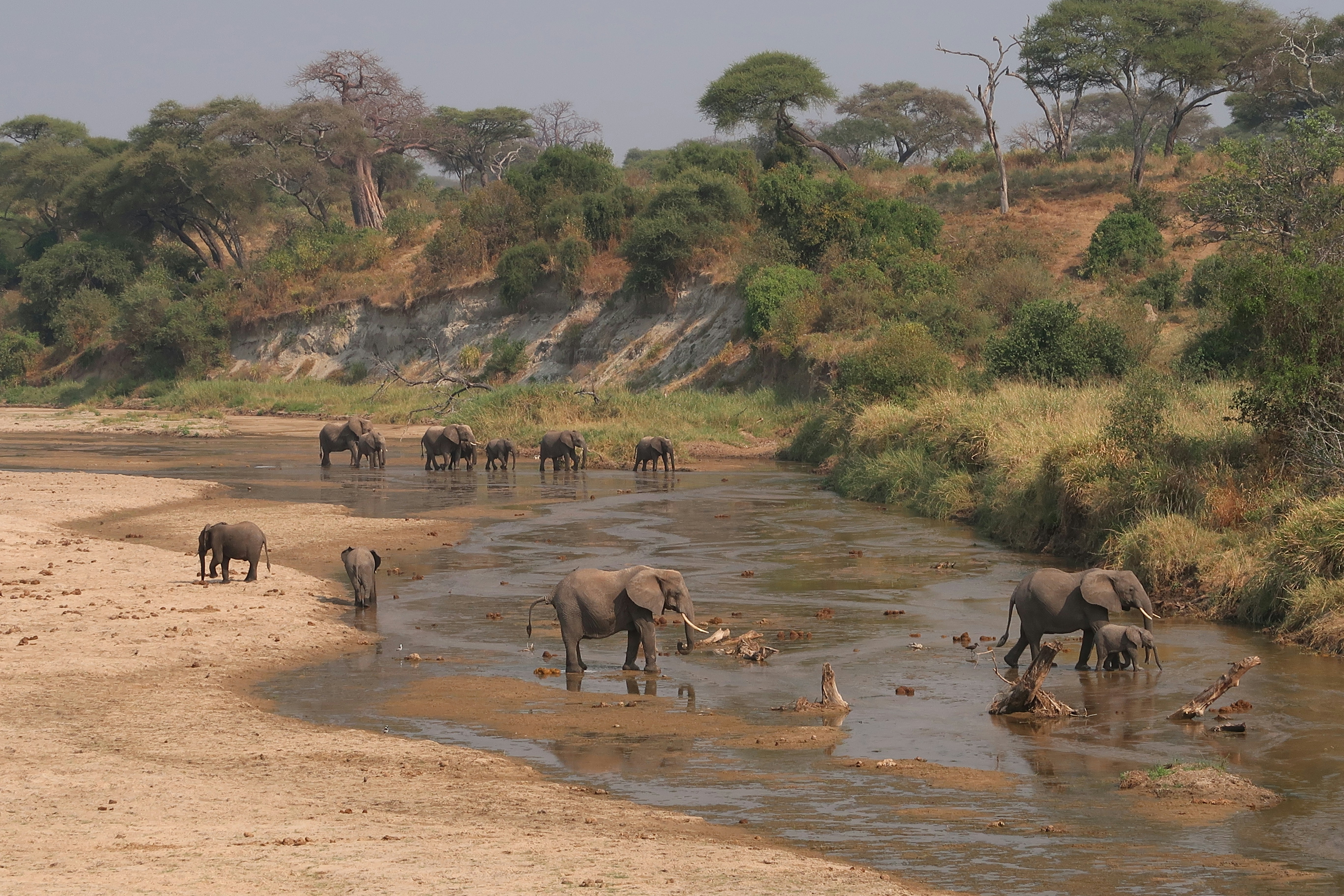 Day 1: Arusha – Tarangire National Park