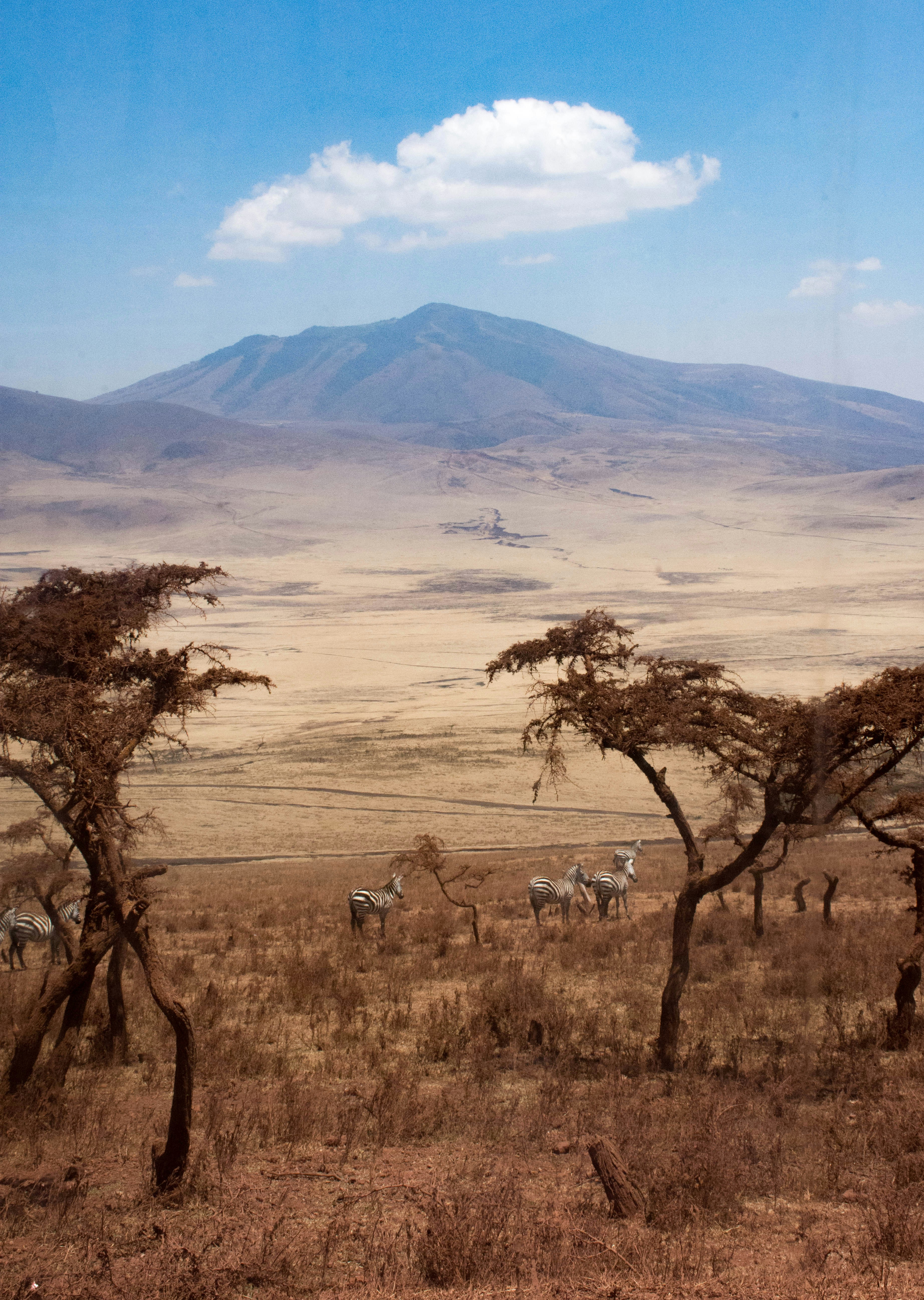 Day 5: Ngorongoro Crater Tour – Return to Arusha