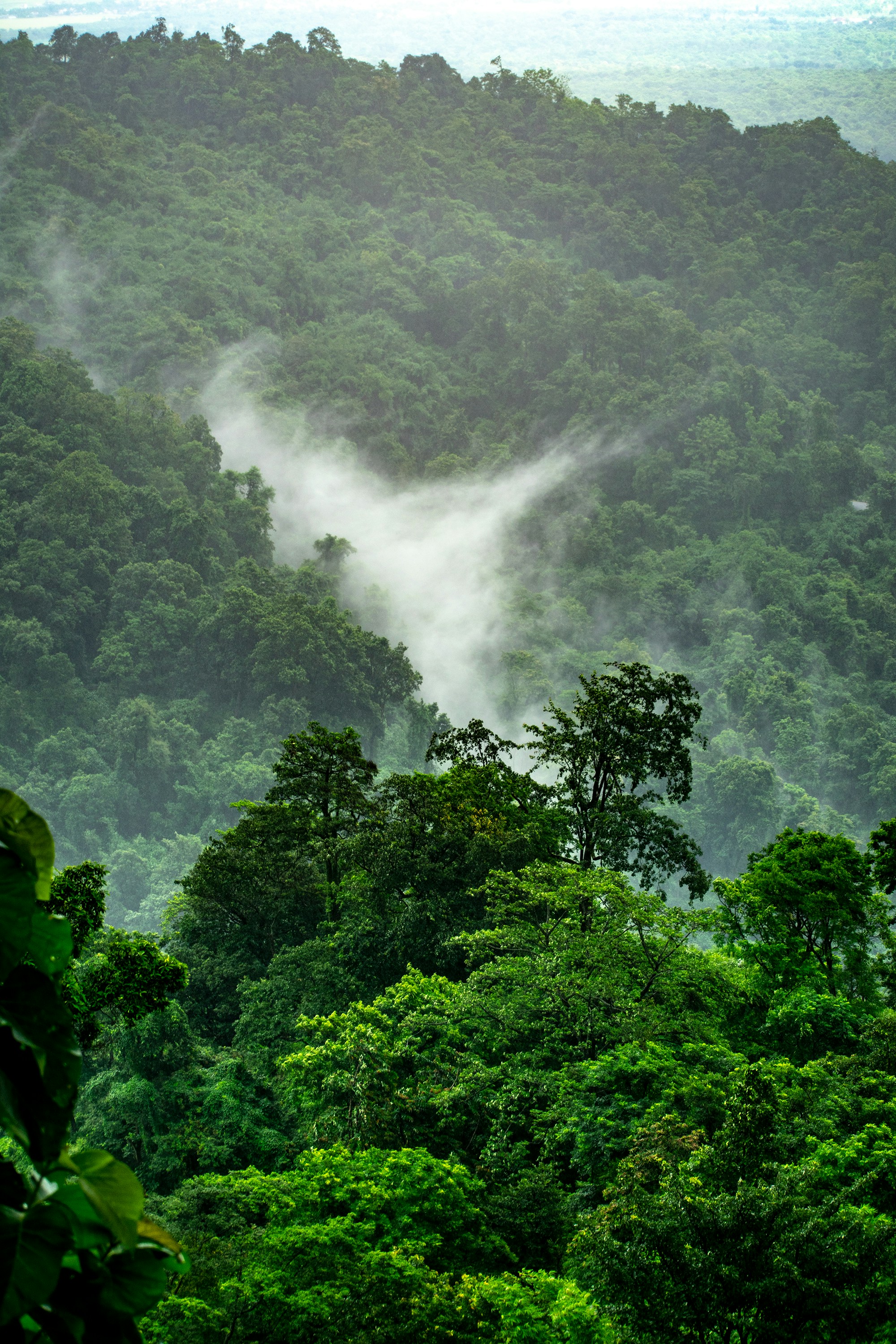 Day 2: Kigali City Tour & Transfer to Bwindi Impenetrable National Park