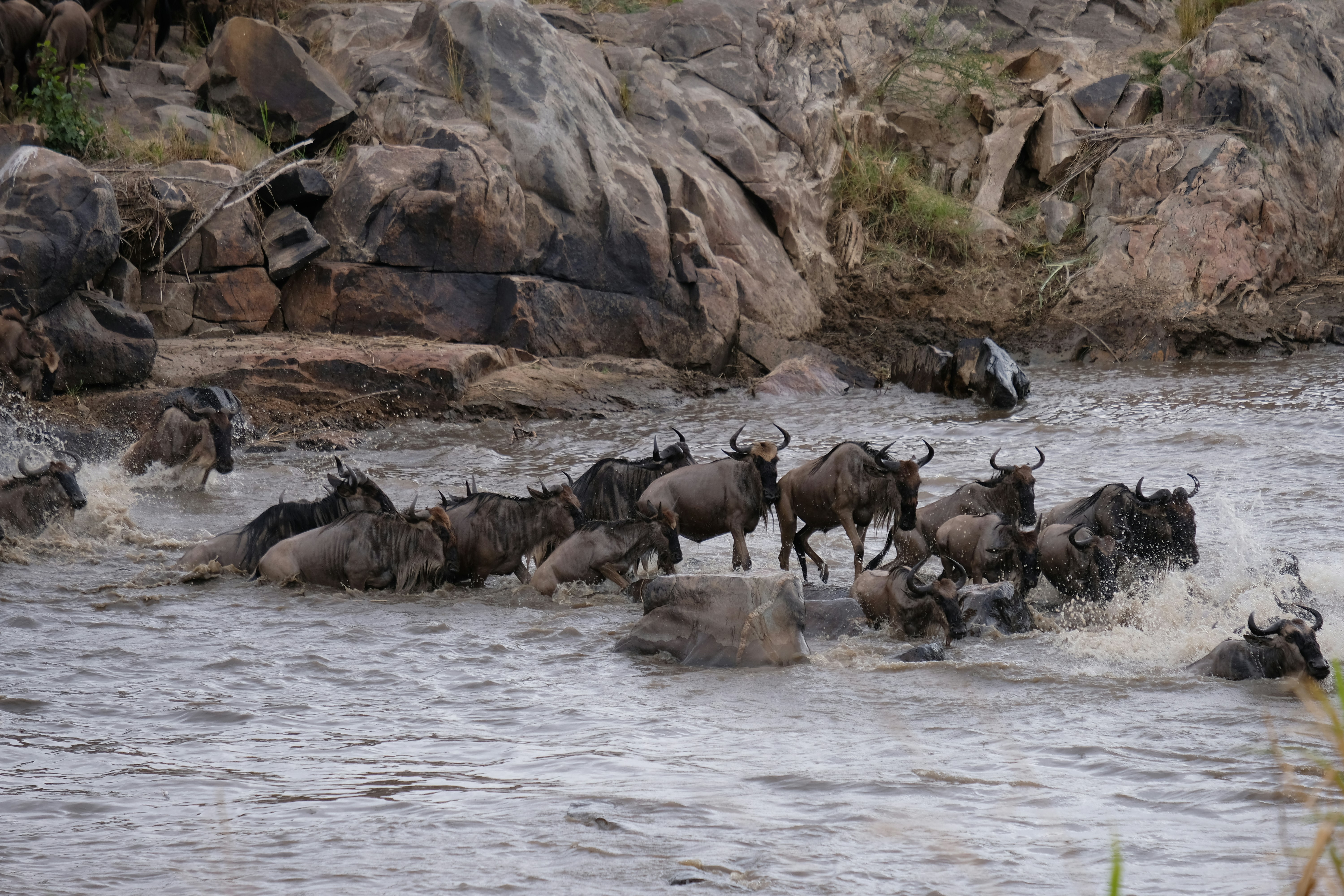 Day 4: Central Serengeti - Northern Serengeti