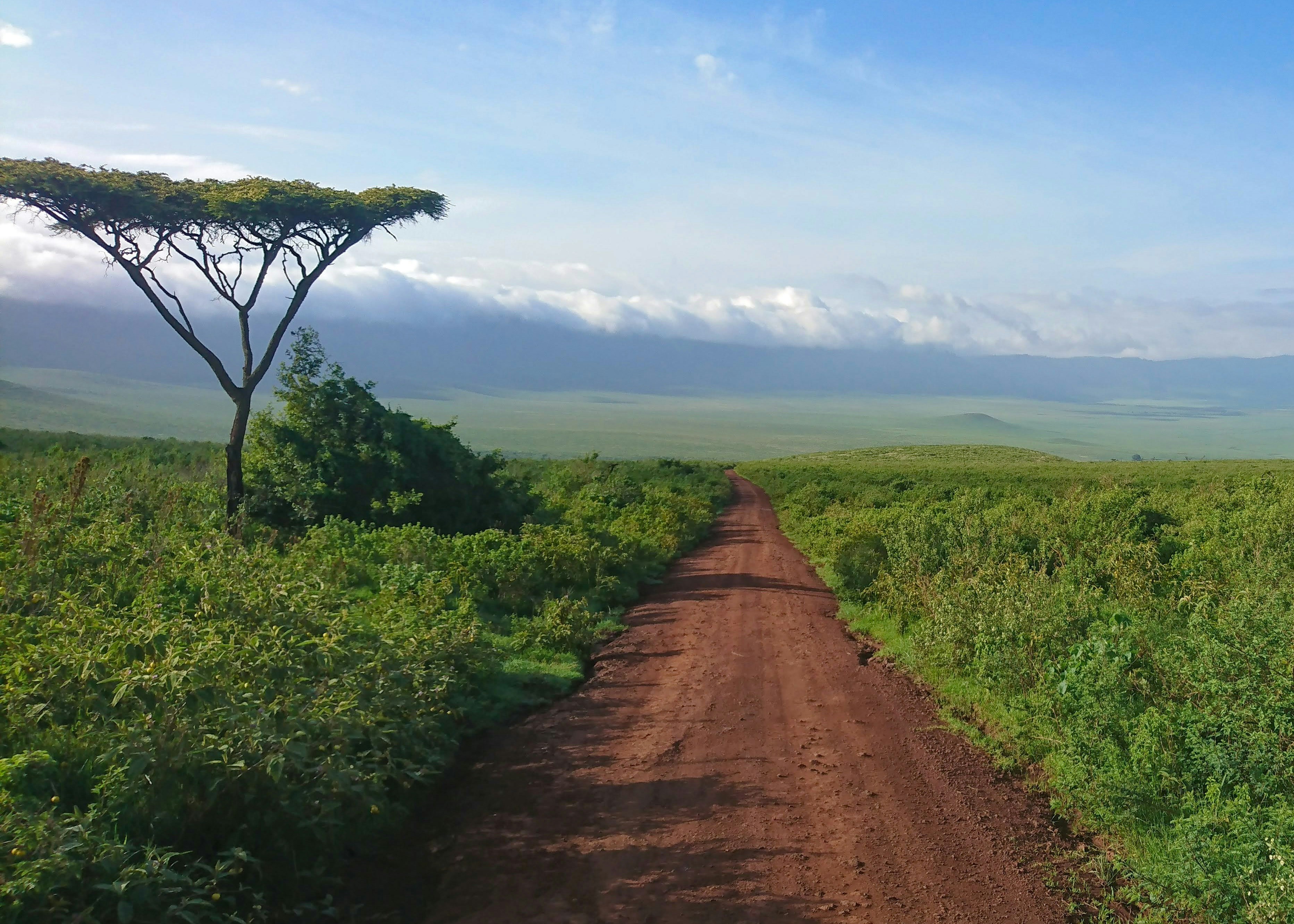 Day 5: Northern Serengeti - Ngorongoro Crater