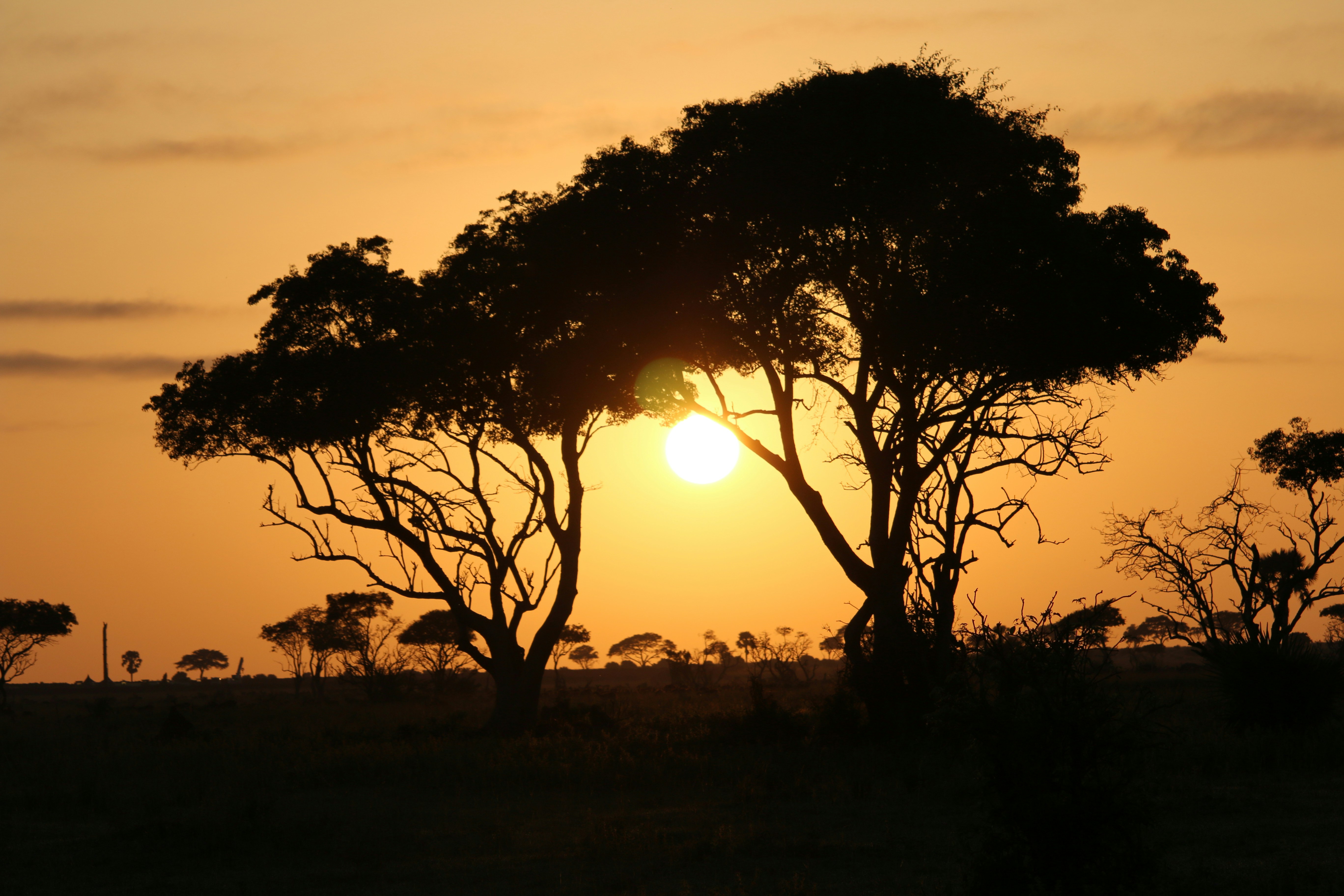 Day 10: Fly to Entebbe – Farewell to the Pearl of Africa