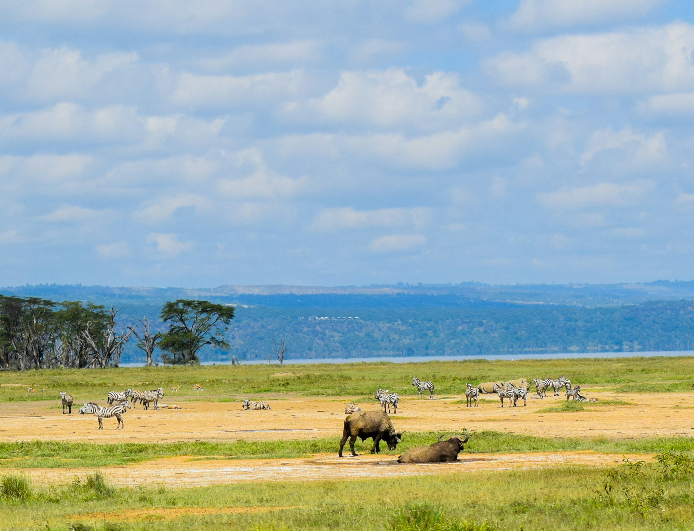 Day 1: Nairobi – Lake Nakuru National Park