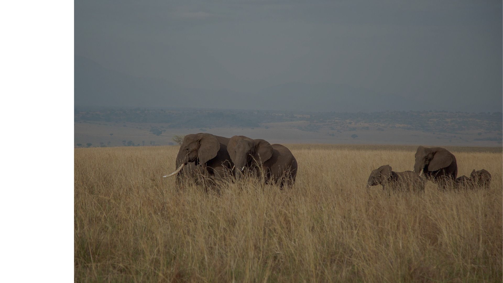 Day 3: Nature walk/hike and Kidepo Valley game drive