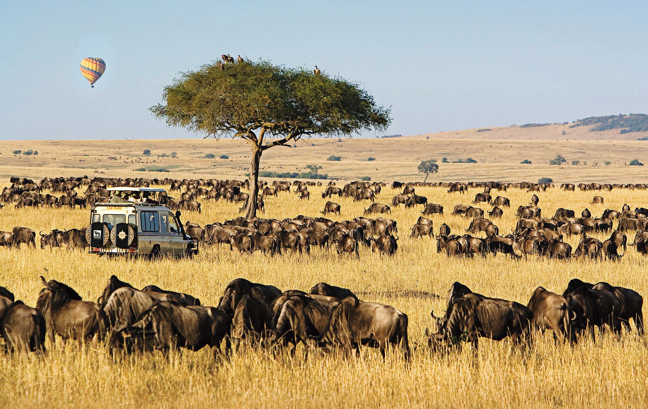 3-day Masai Mara Wildlife Safari