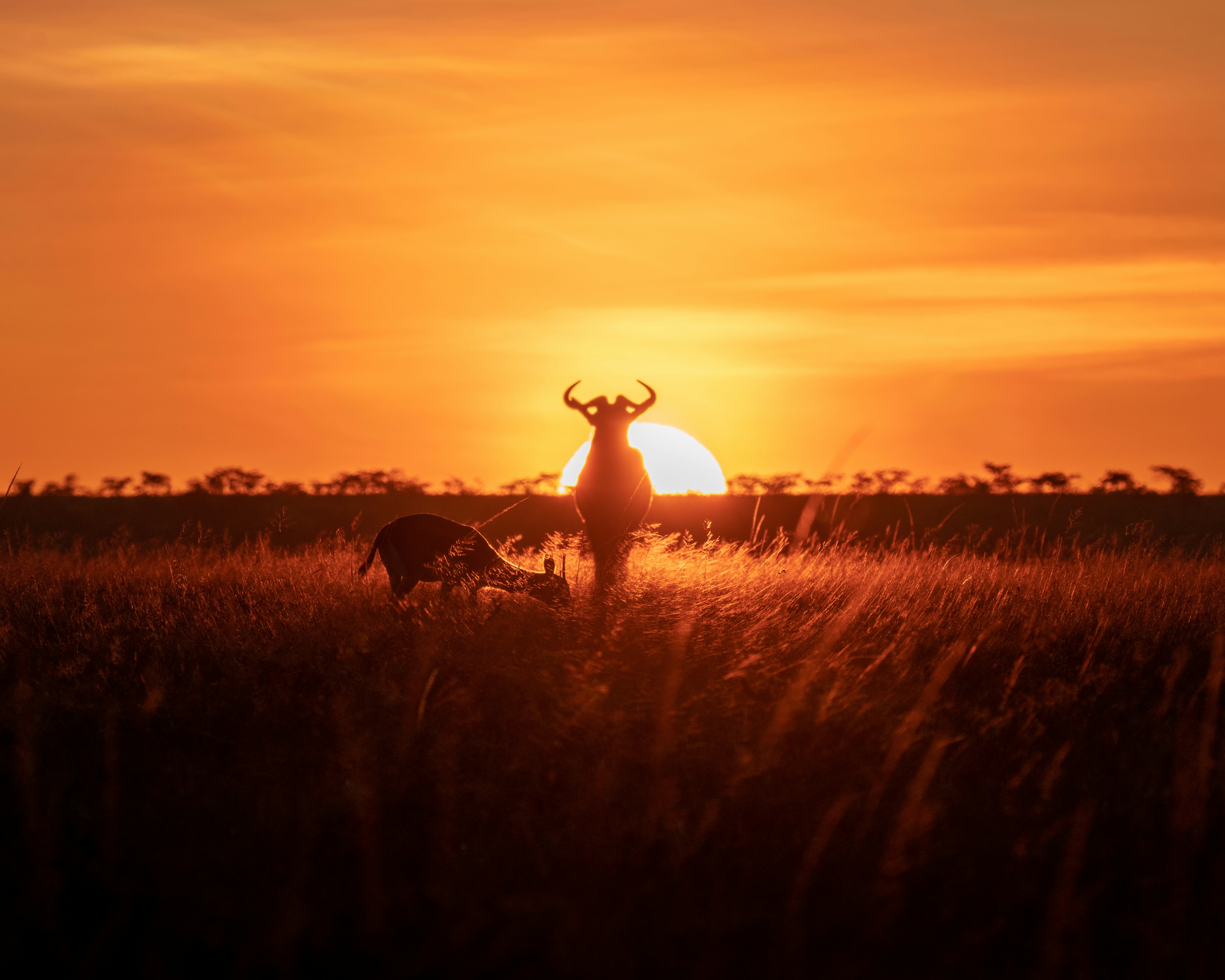 7-day Best of Kenya and Tanzania Safari